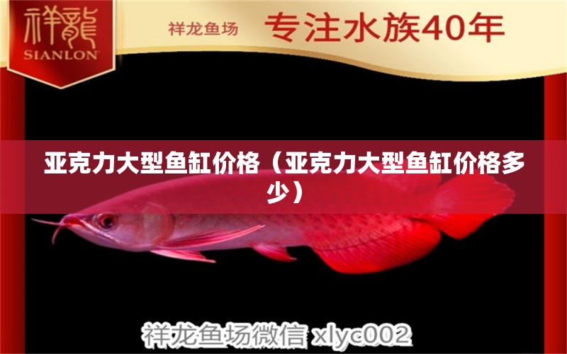 亞克力大型魚缸價格（亞克力大型魚缸價格多少）