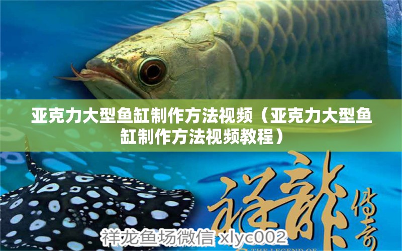 亞克力大型魚缸制作方法視頻（亞克力大型魚缸制作方法視頻教程）