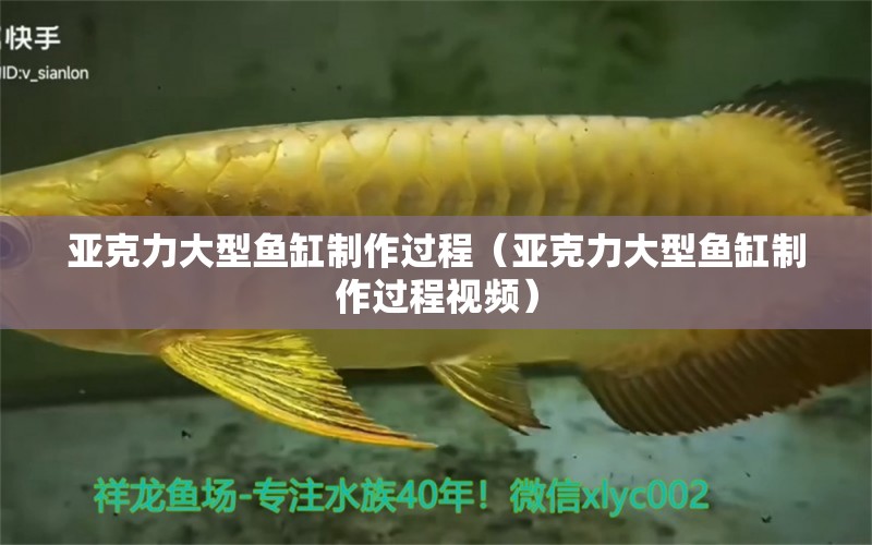 亞克力大型魚缸制作過(guò)程（亞克力大型魚缸制作過(guò)程視頻）