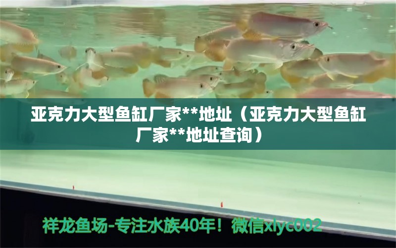 亞克力大型魚(yú)缸廠家**地址（亞克力大型魚(yú)缸廠家**地址查詢）