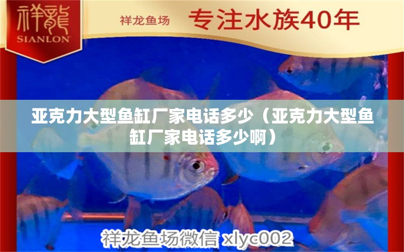 亞克力大型魚缸廠家電話多少（亞克力大型魚缸廠家電話多少?。? title=