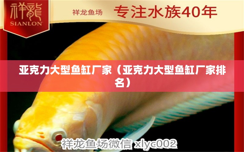 亞克力大型魚缸廠家（亞克力大型魚缸廠家排名） 其他品牌魚缸