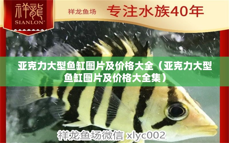 亞克力大型魚缸圖片及價格大全（亞克力大型魚缸圖片及價格大全集）