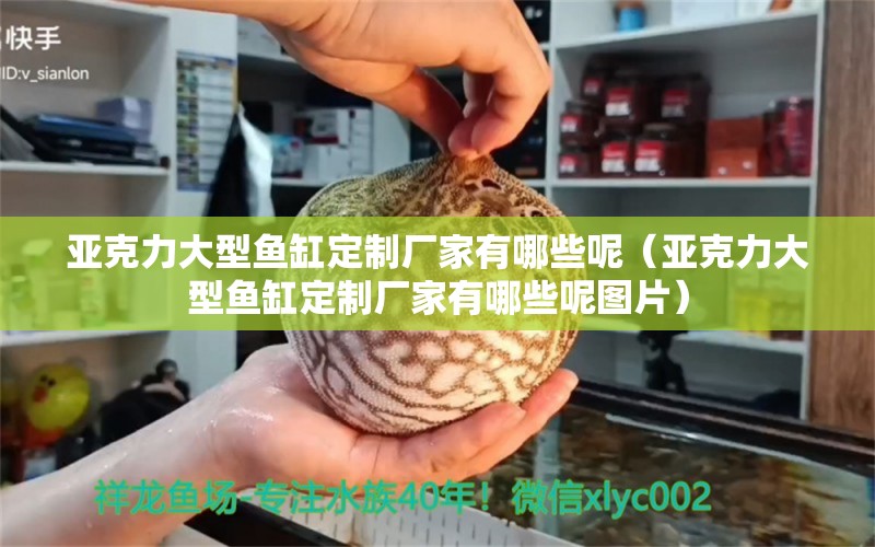 亞克力大型魚缸定制廠家有哪些呢（亞克力大型魚缸定制廠家有哪些呢圖片）