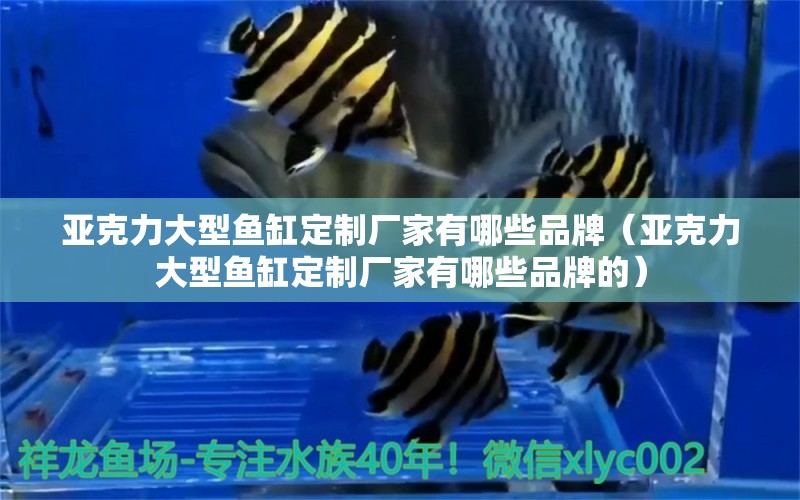 亞克力大型魚缸定制廠家有哪些品牌（亞克力大型魚缸定制廠家有哪些品牌的）