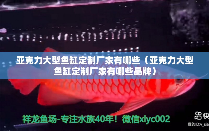 亞克力大型魚缸定制廠家有哪些（亞克力大型魚缸定制廠家有哪些品牌）