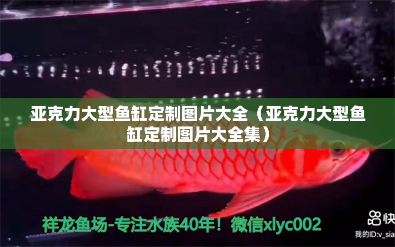 亞克力大型魚缸定制圖片大全（亞克力大型魚缸定制圖片大全集） 其他品牌魚缸