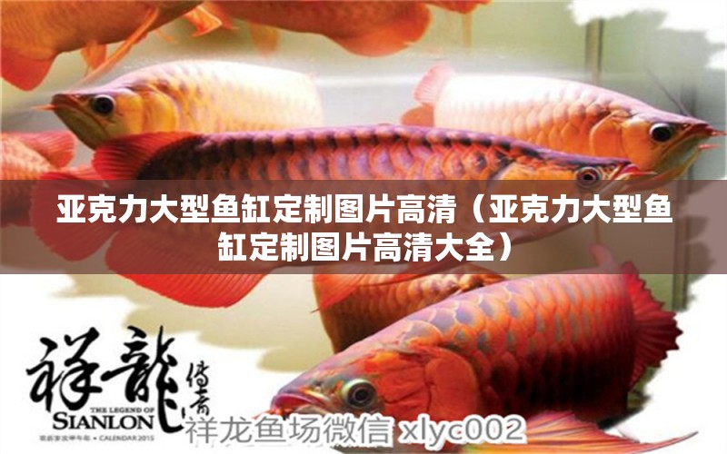 亞克力大型魚缸定制圖片高清（亞克力大型魚缸定制圖片高清大全）