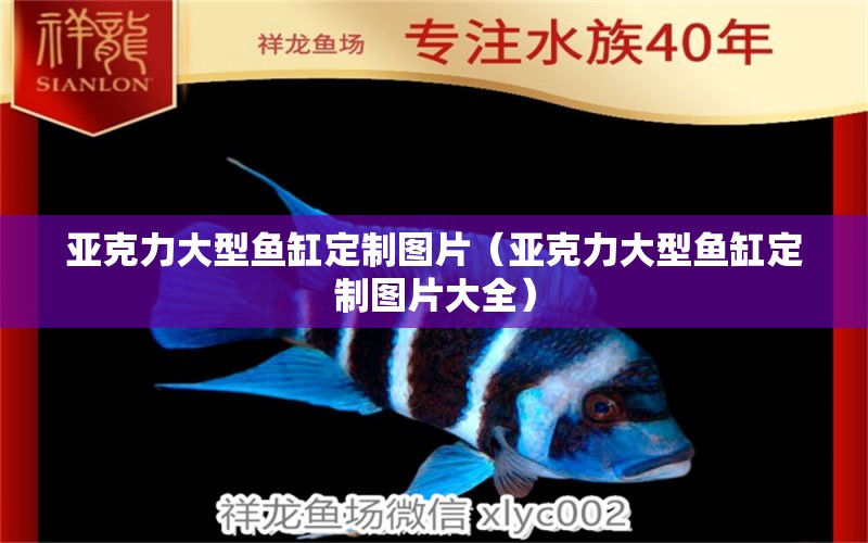 亞克力大型魚缸定制圖片（亞克力大型魚缸定制圖片大全）