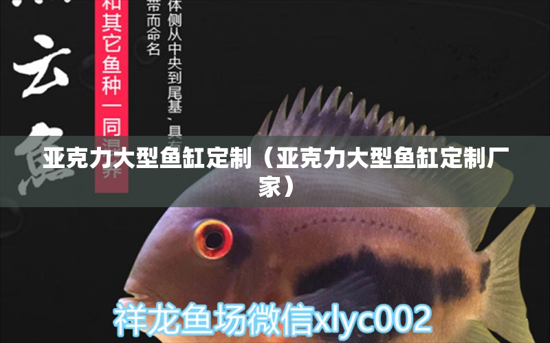 亞克力大型魚缸定制（亞克力大型魚缸定制廠家）