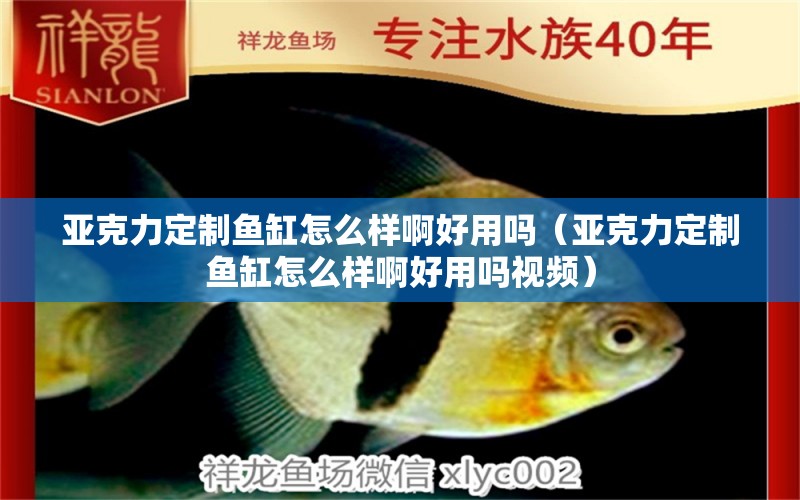 亞克力定制魚缸怎么樣啊好用嗎（亞克力定制魚缸怎么樣啊好用嗎視頻）