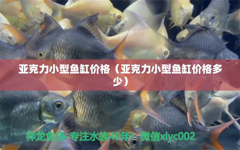 亞克力小型魚(yú)缸價(jià)格（亞克力小型魚(yú)缸價(jià)格多少） 其他品牌魚(yú)缸