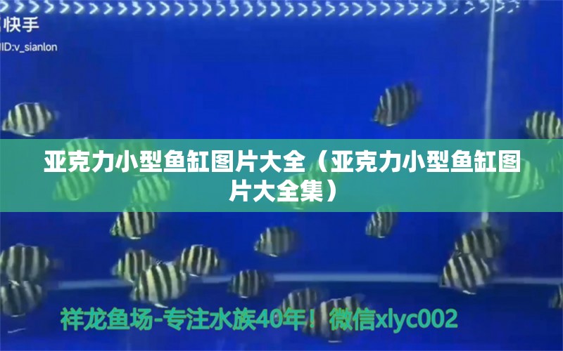 亞克力小型魚缸圖片大全（亞克力小型魚缸圖片大全集）