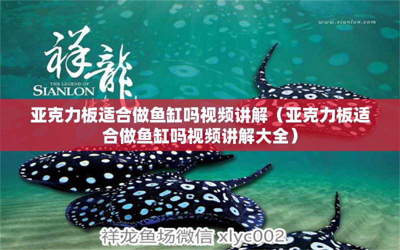 亞克力板適合做魚缸嗎視頻講解（亞克力板適合做魚缸嗎視頻講解大全）