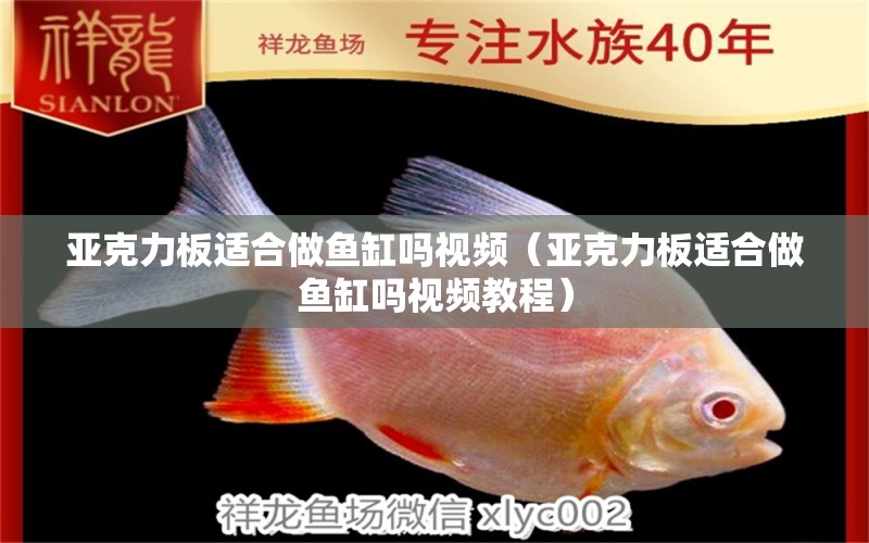 亞克力板適合做魚缸嗎視頻（亞克力板適合做魚缸嗎視頻教程）