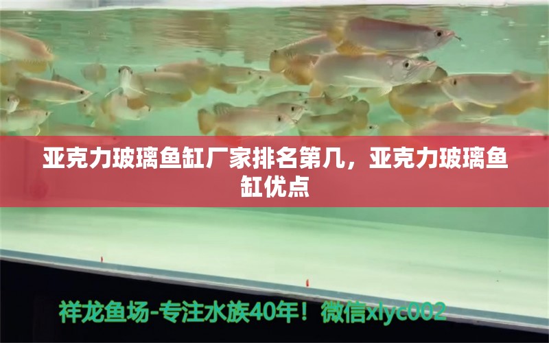 亞克力玻璃魚缸廠家排名第幾，亞克力玻璃魚缸優(yōu)點 虎魚魚苗