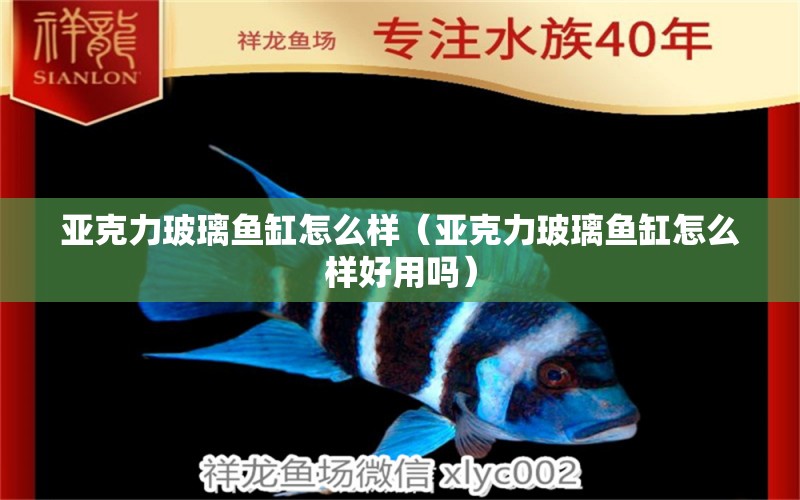 亞克力玻璃魚缸怎么樣（亞克力玻璃魚缸怎么樣好用嗎） 廣州觀賞魚批發(fā)市場