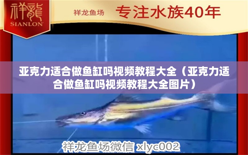 亞克力適合做魚缸嗎視頻教程大全（亞克力適合做魚缸嗎視頻教程大全圖片）