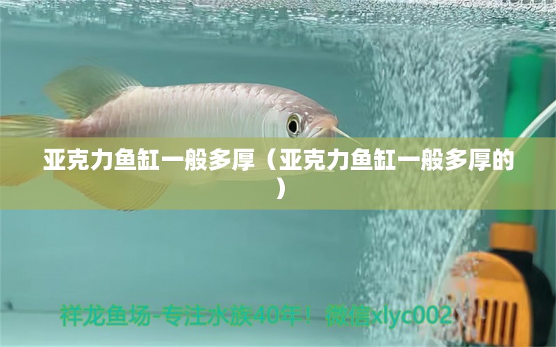 亞克力魚缸一般多厚（亞克力魚缸一般多厚的）