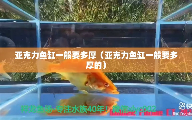 亞克力魚缸一般要多厚（亞克力魚缸一般要多厚的） 其他品牌魚缸