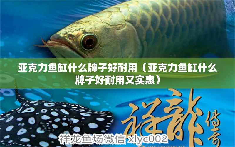 亞克力魚缸什么牌子好耐用（亞克力魚缸什么牌子好耐用又實(shí)惠） 魚缸定做