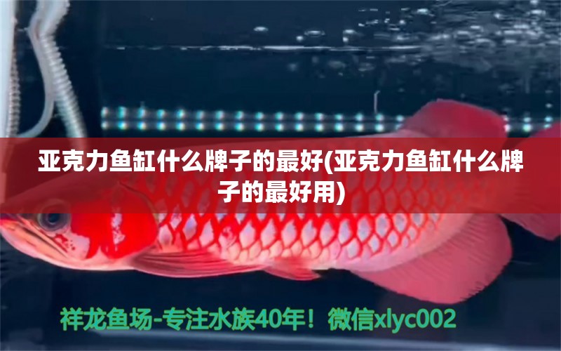 亞克力魚缸什么牌子的最好(亞克力魚缸什么牌子的最好用) 丹頂錦鯉魚