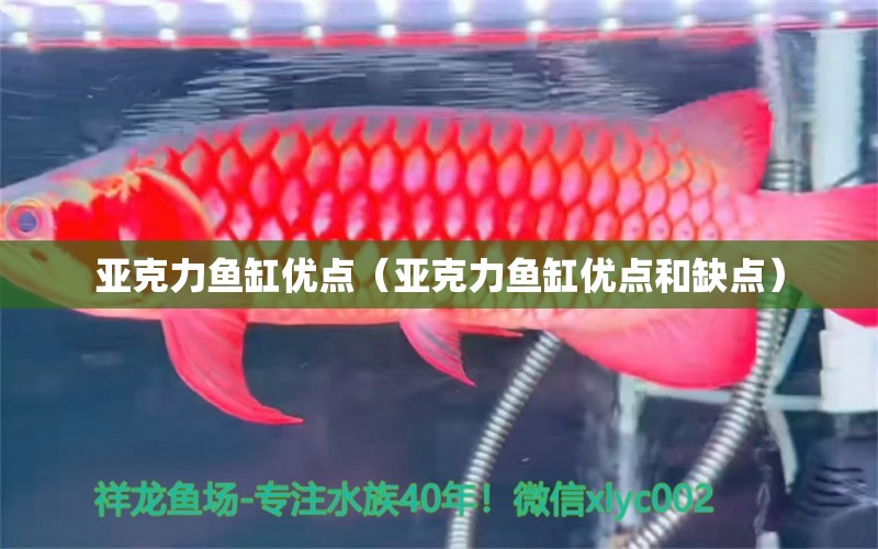 亞克力魚缸優(yōu)點（亞克力魚缸優(yōu)點和缺點）