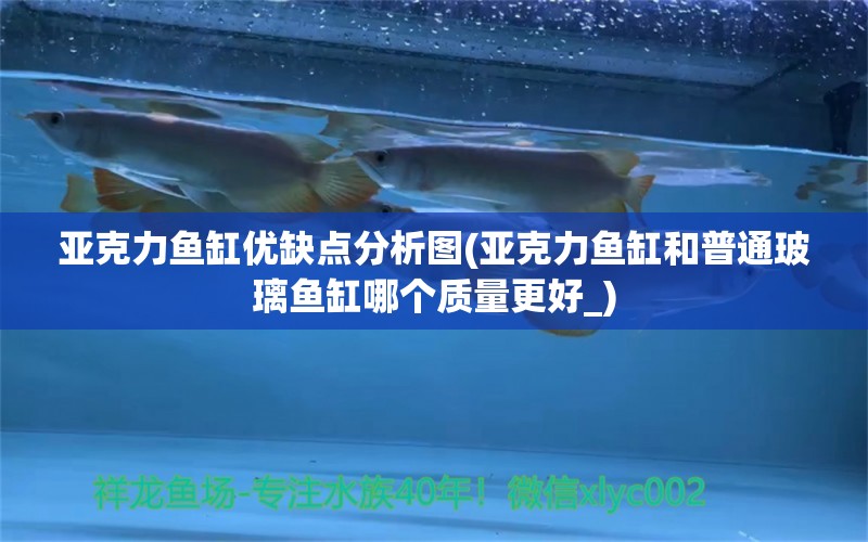 亞克力魚缸優(yōu)缺點分析圖(亞克力魚缸和普通玻璃魚缸哪個質(zhì)量更好_)