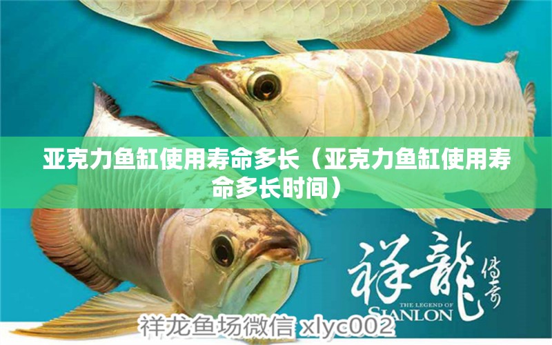 亞克力魚缸使用壽命多長（亞克力魚缸使用壽命多長時間）