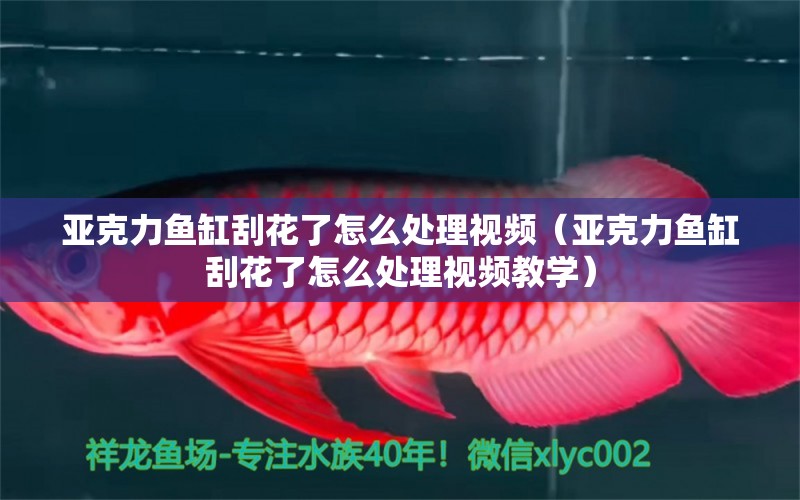 亞克力魚缸刮花了怎么處理視頻（亞克力魚缸刮花了怎么處理視頻教學(xué)）