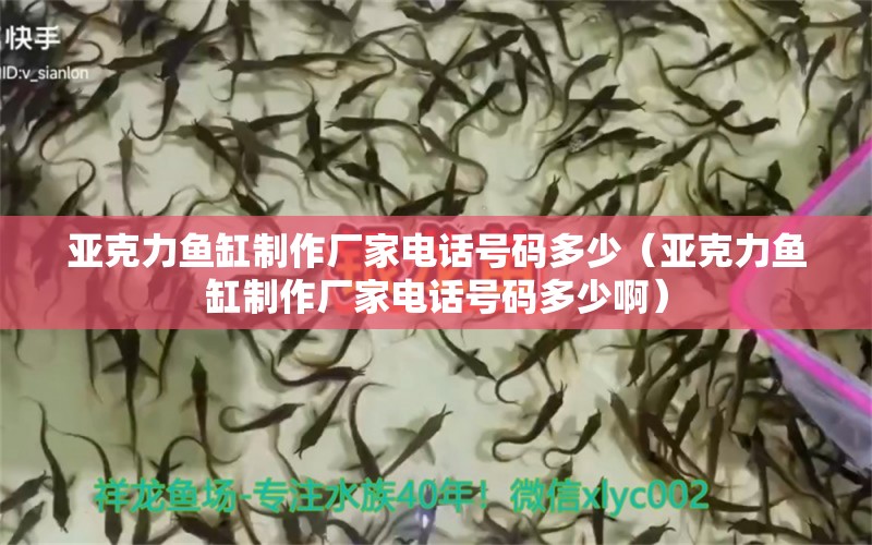 亞克力魚缸制作廠家電話號(hào)碼多少（亞克力魚缸制作廠家電話號(hào)碼多少?。? title=