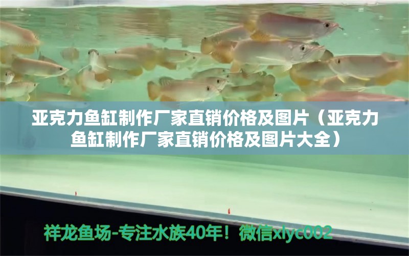 亞克力魚缸制作廠家直銷價格及圖片（亞克力魚缸制作廠家直銷價格及圖片大全）