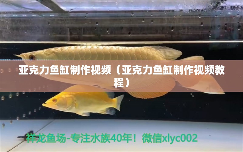 亞克力魚缸制作視頻（亞克力魚缸制作視頻教程）