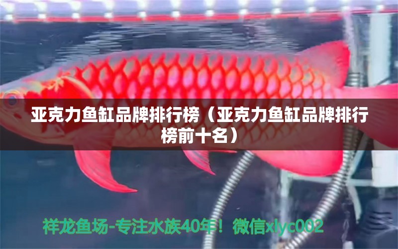 亞克力魚缸品牌排行榜（亞克力魚缸品牌排行榜前十名） 其他品牌魚缸