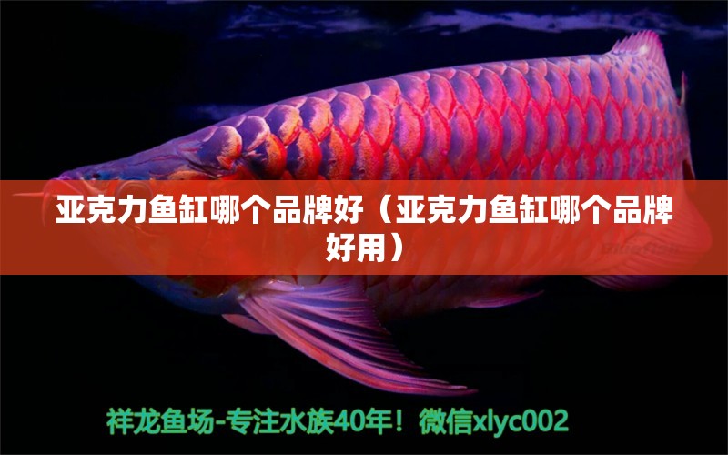 亞克力魚缸哪個品牌好（亞克力魚缸哪個品牌好用）