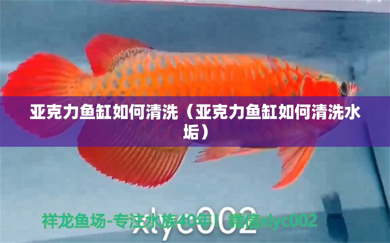 亞克力魚缸如何清洗（亞克力魚缸如何清洗水垢）