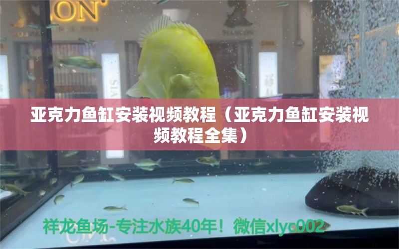 亞克力魚缸安裝視頻教程（亞克力魚缸安裝視頻教程全集） 其他品牌魚缸