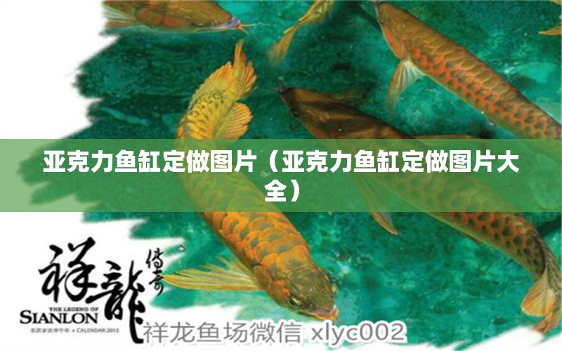 亞克力魚缸定做圖片（亞克力魚缸定做圖片大全）