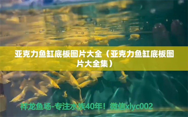 亞克力魚缸底板圖片大全（亞克力魚缸底板圖片大全集） 觀賞魚市場（混養(yǎng)魚）