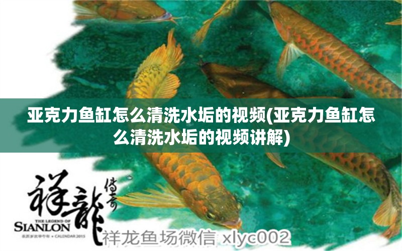 亞克力魚(yú)缸怎么清洗水垢的視頻(亞克力魚(yú)缸怎么清洗水垢的視頻講解) 南美異型魚(yú) 第1張