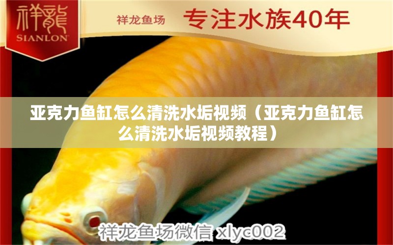 亞克力魚(yú)缸怎么清洗水垢視頻（亞克力魚(yú)缸怎么清洗水垢視頻教程）