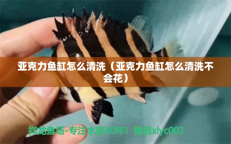 亞克力魚缸怎么清洗（亞克力魚缸怎么清洗不會(huì)花） 其他品牌魚缸