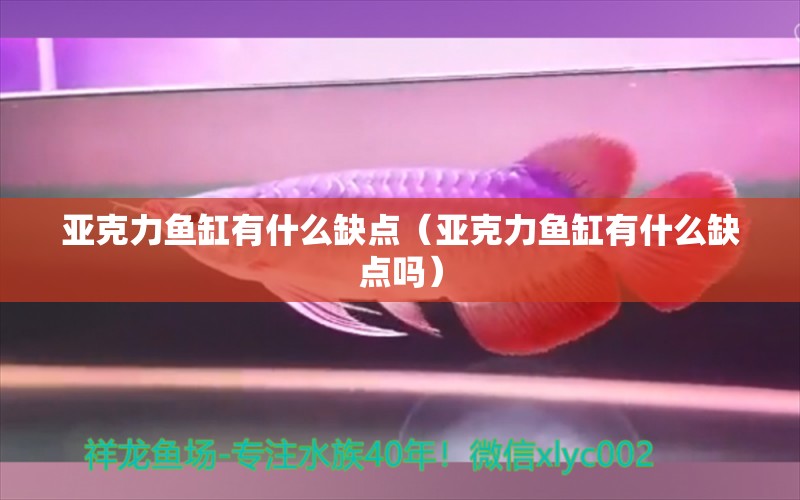 亞克力魚缸有什么缺點（亞克力魚缸有什么缺點嗎）