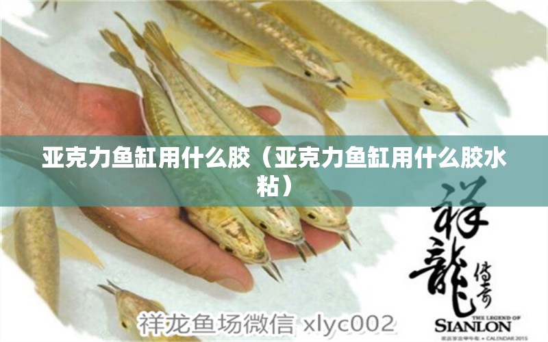 亞克力魚缸用什么膠（亞克力魚缸用什么膠水粘）