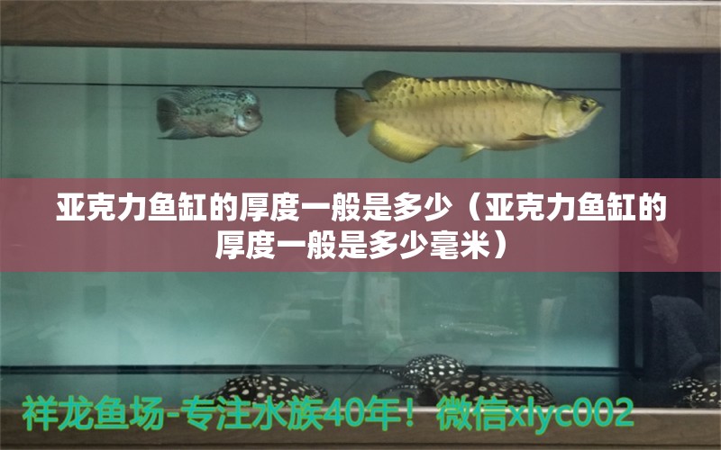 亞克力魚缸的厚度一般是多少（亞克力魚缸的厚度一般是多少毫米）