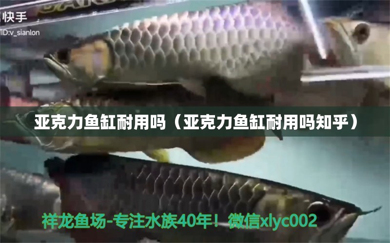 亞克力魚缸耐用嗎（亞克力魚缸耐用嗎知乎）