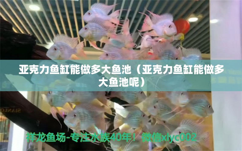 亞克力魚缸能做多大魚池（亞克力魚缸能做多大魚池呢） 其他品牌魚缸