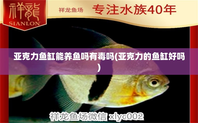 亞克力魚(yú)缸能養(yǎng)魚(yú)嗎有毒嗎(亞克力的魚(yú)缸好嗎) 元寶鳳凰魚(yú)專(zhuān)用魚(yú)糧