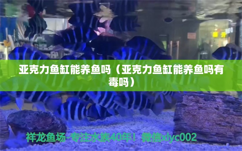 亞克力魚缸能養(yǎng)魚嗎（亞克力魚缸能養(yǎng)魚嗎有毒嗎）