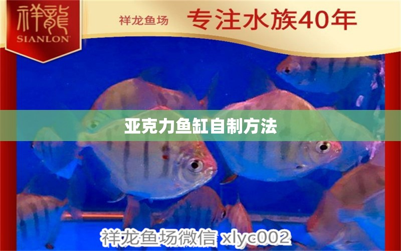 亞克力魚(yú)缸自制方法 虎斑恐龍魚(yú)